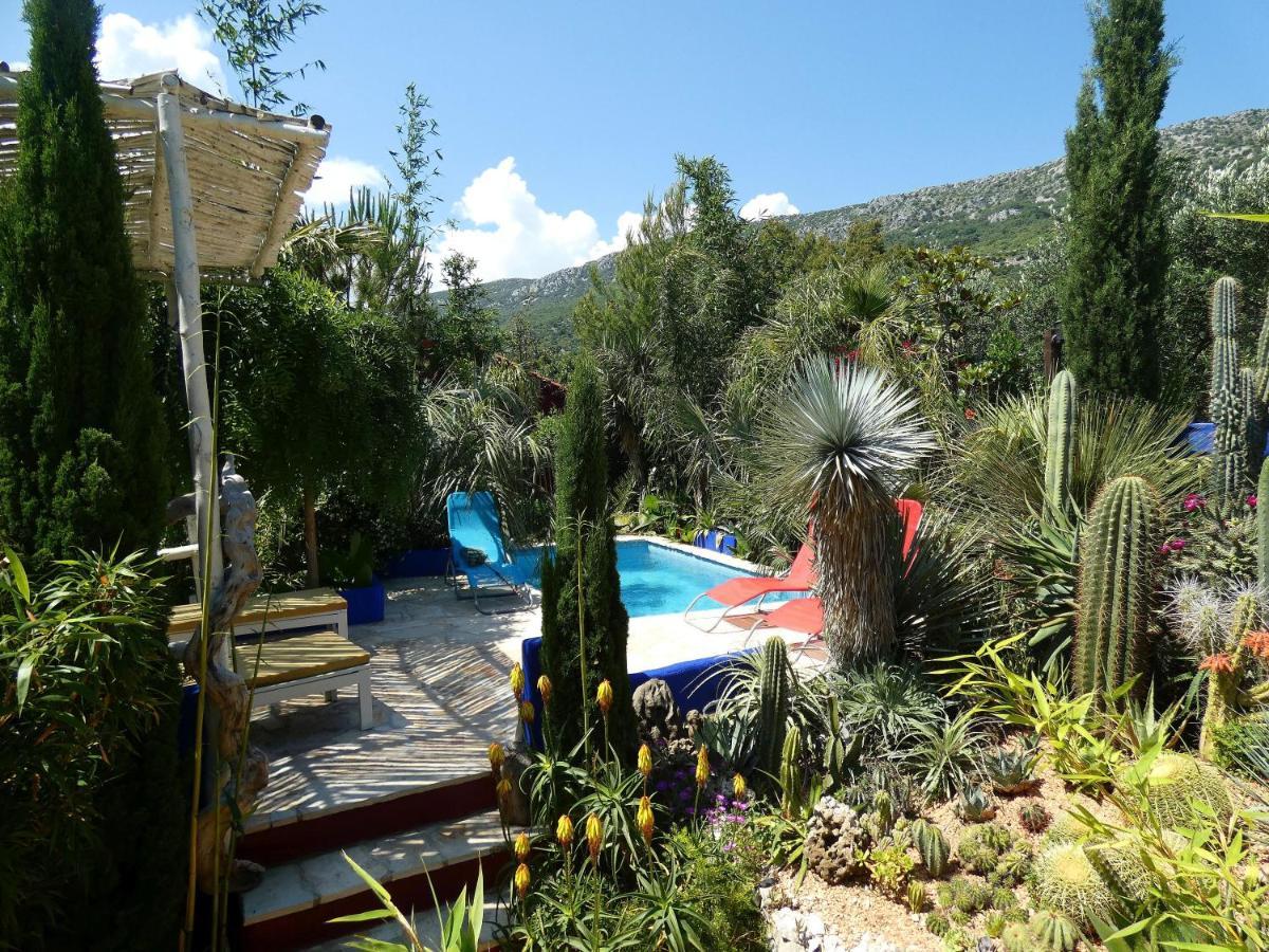 Villa Tropica, Total Privacy, Tropical Garden And Private Pool Kaštela Exteriér fotografie