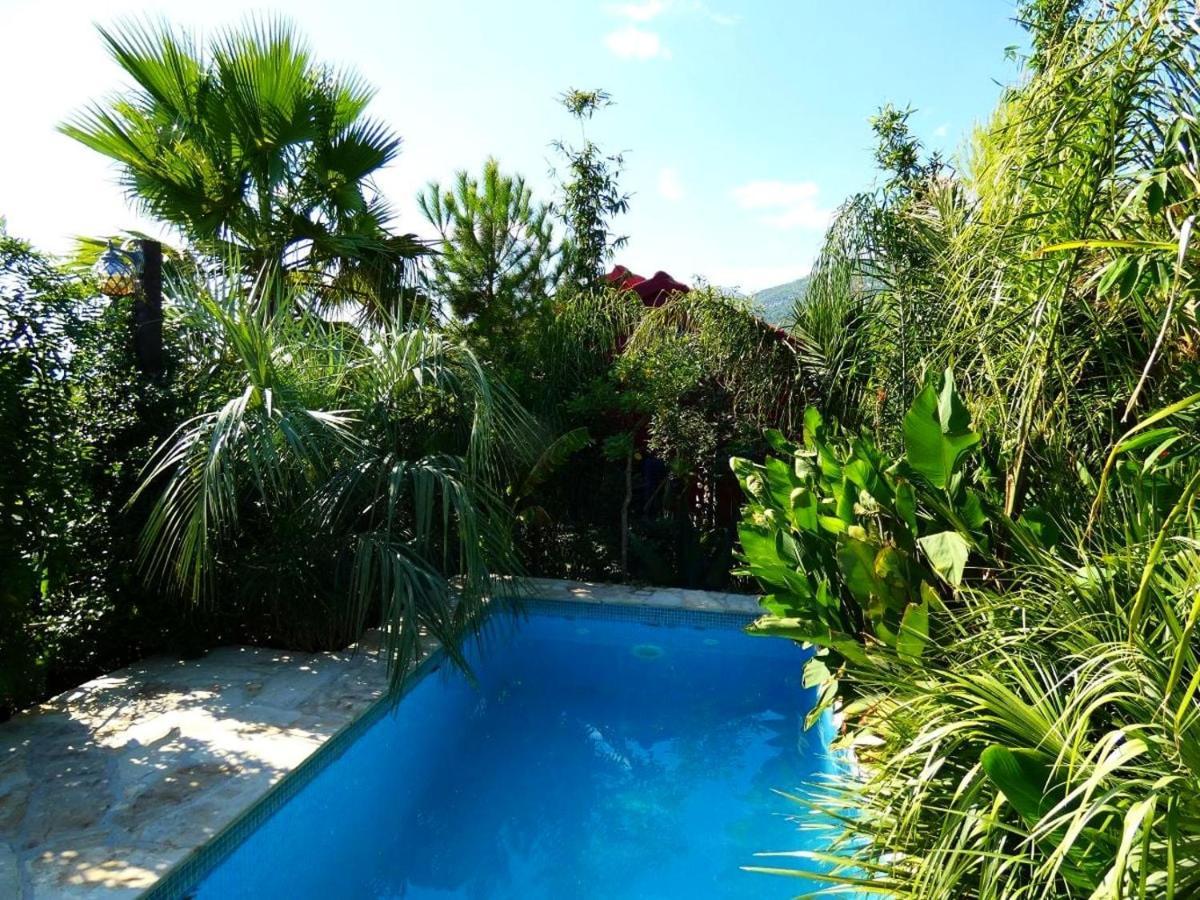Villa Tropica, Total Privacy, Tropical Garden And Private Pool Kaštela Exteriér fotografie